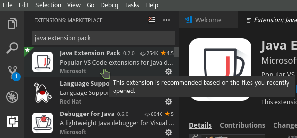 The Java Extension Pack from the Extension Marketplace.